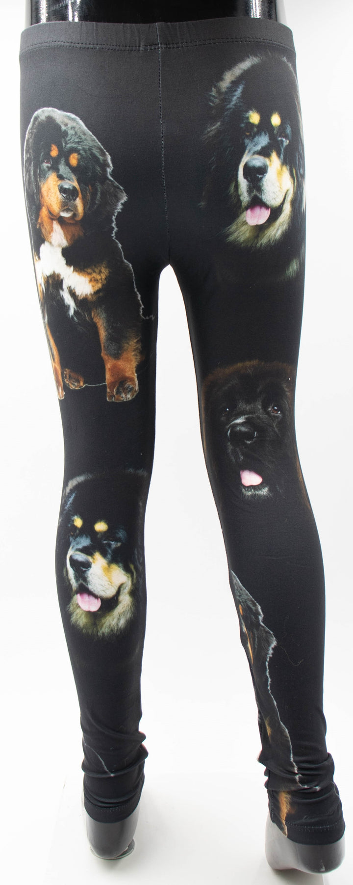 Tibetan Mastiff Print Girls Leggings
