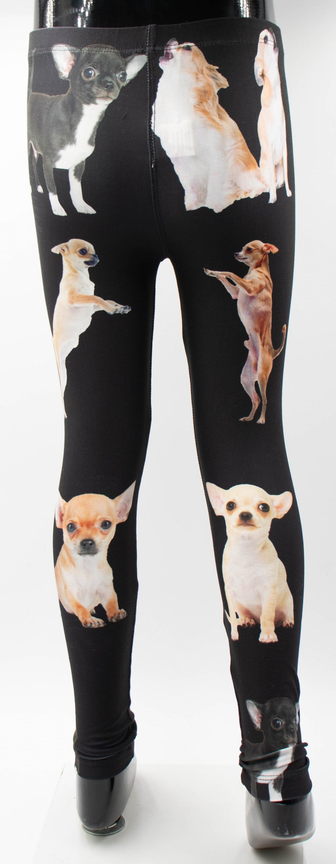 Girls Chihuahua Print Leggings