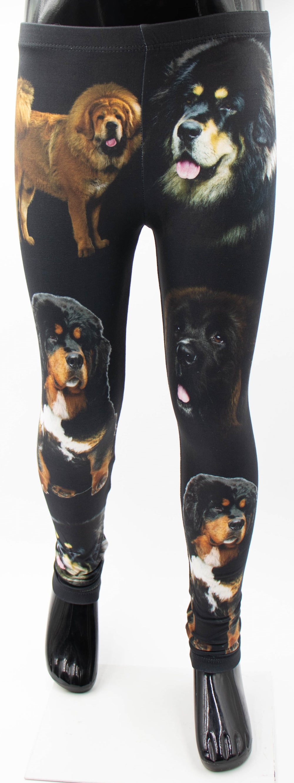 Denimaxx kids Tibetan Mastiff print leggings with black, tan, and rust tibetan mastiff portraits on black fabric, front view on a mannequin.