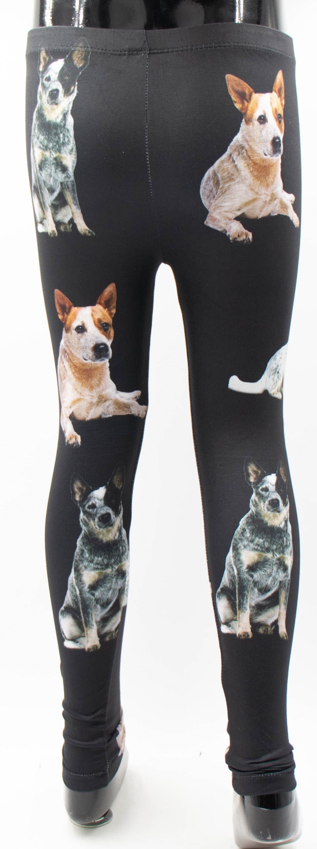Girls Australian Cattle Dog Print Leggings