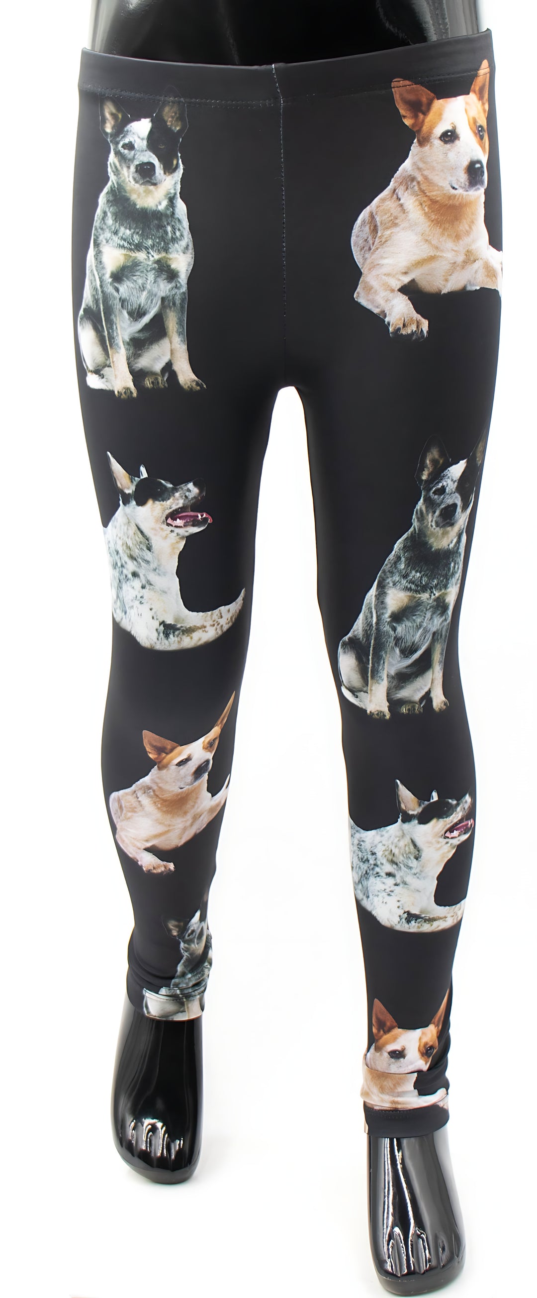 Kids Australian Cattle Dog print leggings with blue and red heeler photos on black fabric, shown on a mannequin.