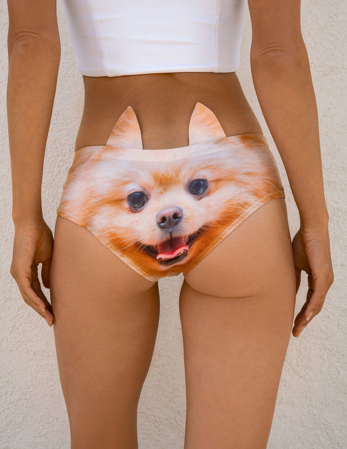 Close-up back view of Pomeranian print panties showing the smiling orange Pomeranian face with ear tabs.
