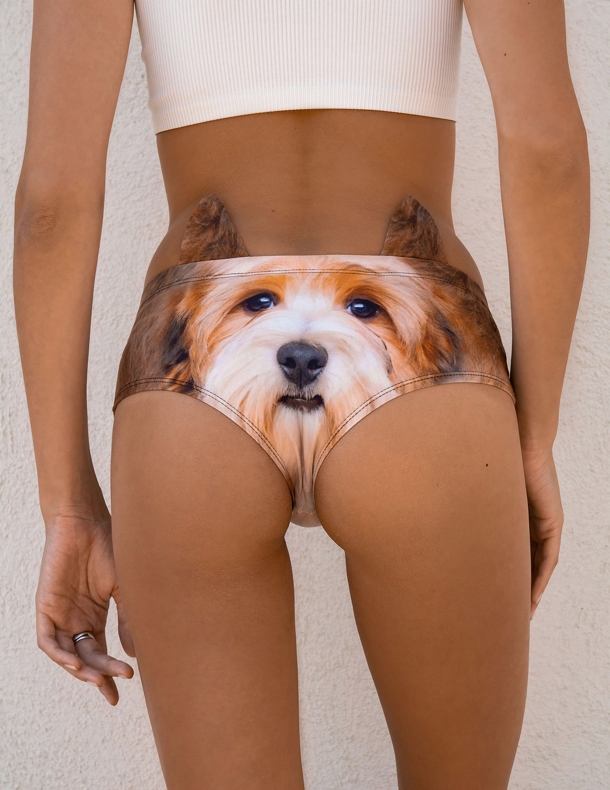 Close-up back view of Havanese Puppy print panties showing the fluffy brown and white puppy face with ear tabs.