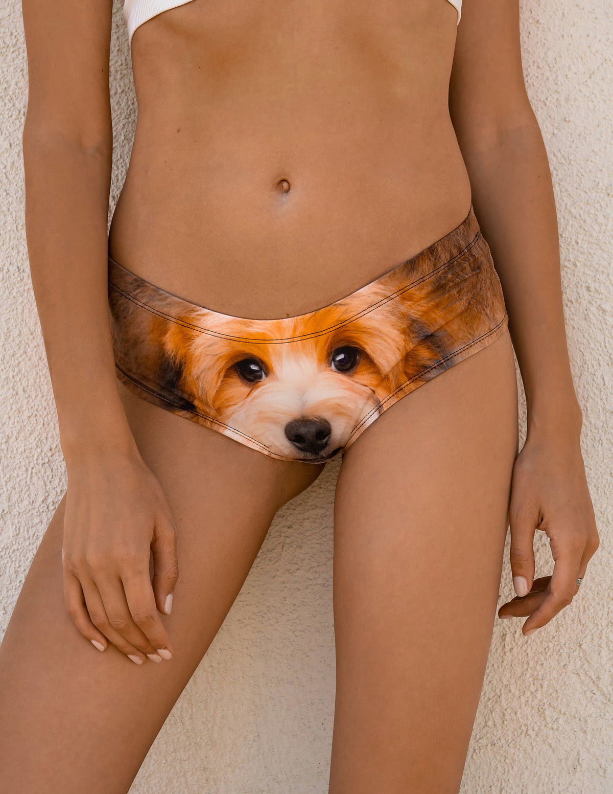 Front view of Havanese Puppy print panties with the fluffy brown and white puppy face on the front.