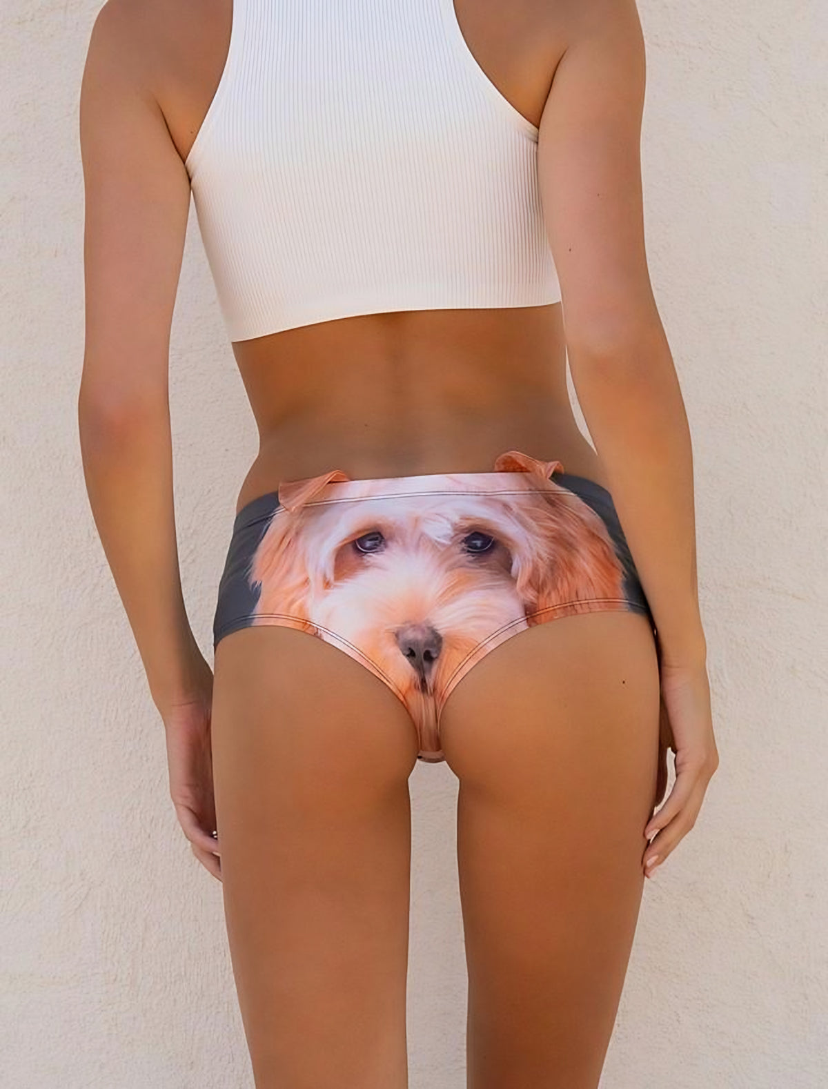 Close-up back view of Goldendoodle print panties showing the apricot Goldendoodle face print with a white ribbed top.